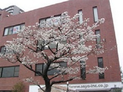 soyo-inc2_image.jpg